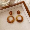 Amber Coffee French Retro Luxury Earrings - Women's Elegant Studs with Niche Design