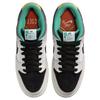 X CSEF Dunk SB Low Top Skateboard Shoes Unisex White Green Black HJ4132-100