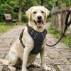 Dog Anti-Pull Harness Reflective Vest Style Leash for Large Dogs with Adjustable Straps and High-Visibility