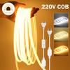 220V COB LED Neon Strip Light 270° Uniform Glow Waterproof 288LEDs/m Flexible Tape with Switch EU Plug for Home Garden Lighting