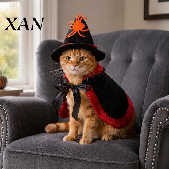 Medium Cat Costume 1 Set Halloween Witch Costume, Black Cape And Wizard Hat, Moon Pet Outfit Stars Spiders Star Cloak Pointed Hat for Cats Small Dogs