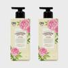 _On the Body Парфюмированный лосьон для тела 400 мл Dream X 2