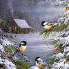 Full 5D Diy Diamond Painting Winter Bird Embroidery Cross Stitch Home Decor Handmade Gift