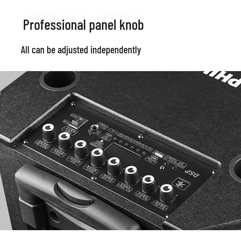 Philips SD170MAX 12-дюймовый портативный Bluetooth-караоке-динамик, штекер CN (адаптер в комплекте) (Китайская версия)