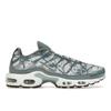 Air Max Plus Palm Pack - мужские кроссовки Waterway Silver Fiberglass White FV0394-300