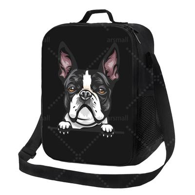 Термосумка-ланчбокс Boston Terrier с регулируемым плечевым ремнем, многоразовая, для работы, пикника, пляжа