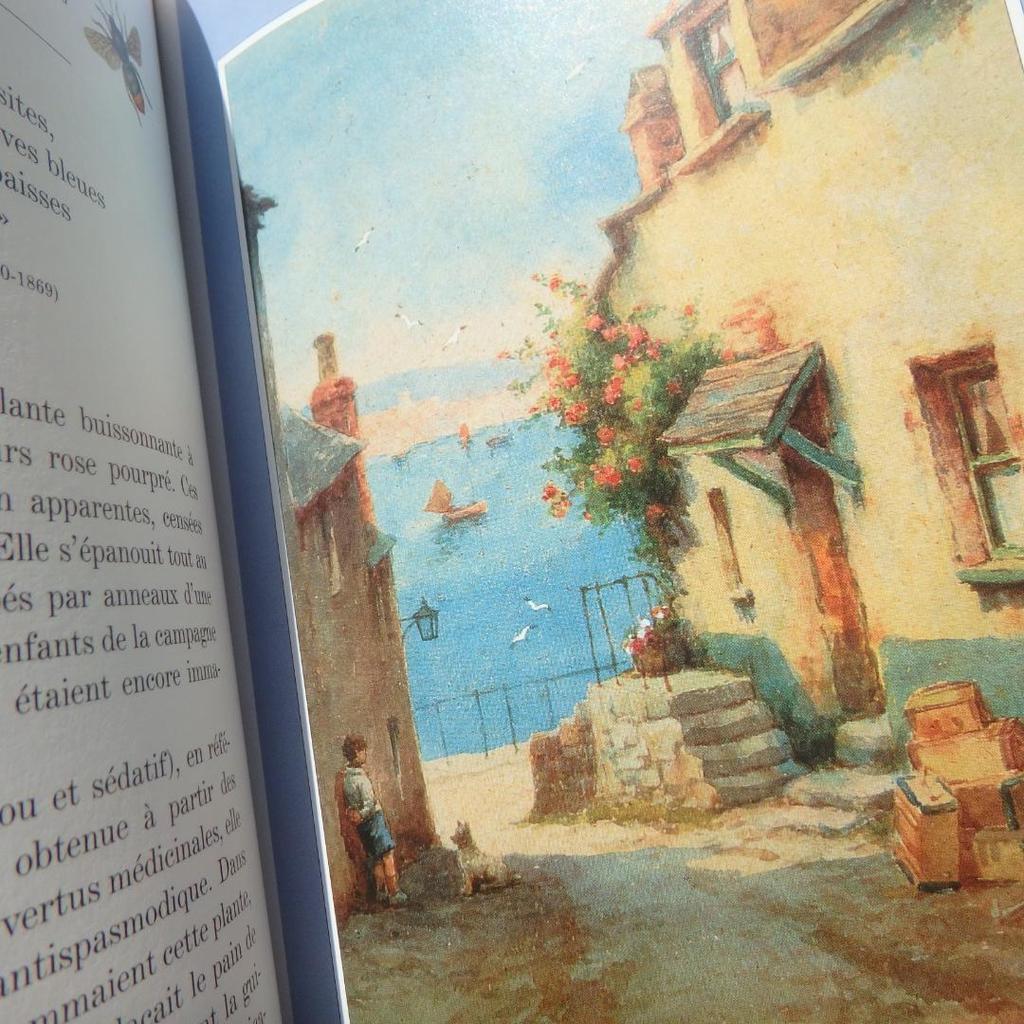 [Б/У] Язык Диких Цветов: Язык цветов на французском