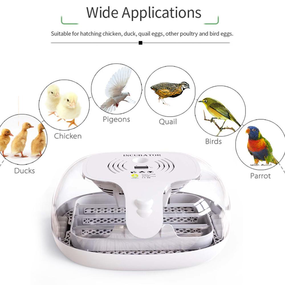 Egg Incubator for Hatching with Automatic Egg Turning Led Egg Test Lamp Clear Lid Easy To Wash 16