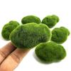 2/4/5/8/10 PCS Micro Landscape Moss Green Grass Figures Miniature Decoration for Mini DIY Fairy Garden Aquarium Fish Tank Simulation Statue Craft