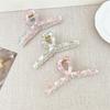 New Korean Fragmented Flower Hair Clip Women's Transparent Jelly Color Temperament Pan Hair Shark Clip Girl Hair Accessories
