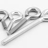 Stainless Steel Eye Machine Screw Hook with Ring, M4-M24