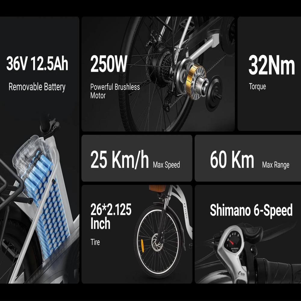 Electric Bike DYU C6 26" 250W Motor 12.5AH Max Range 60Km Load 120Kg Black or White