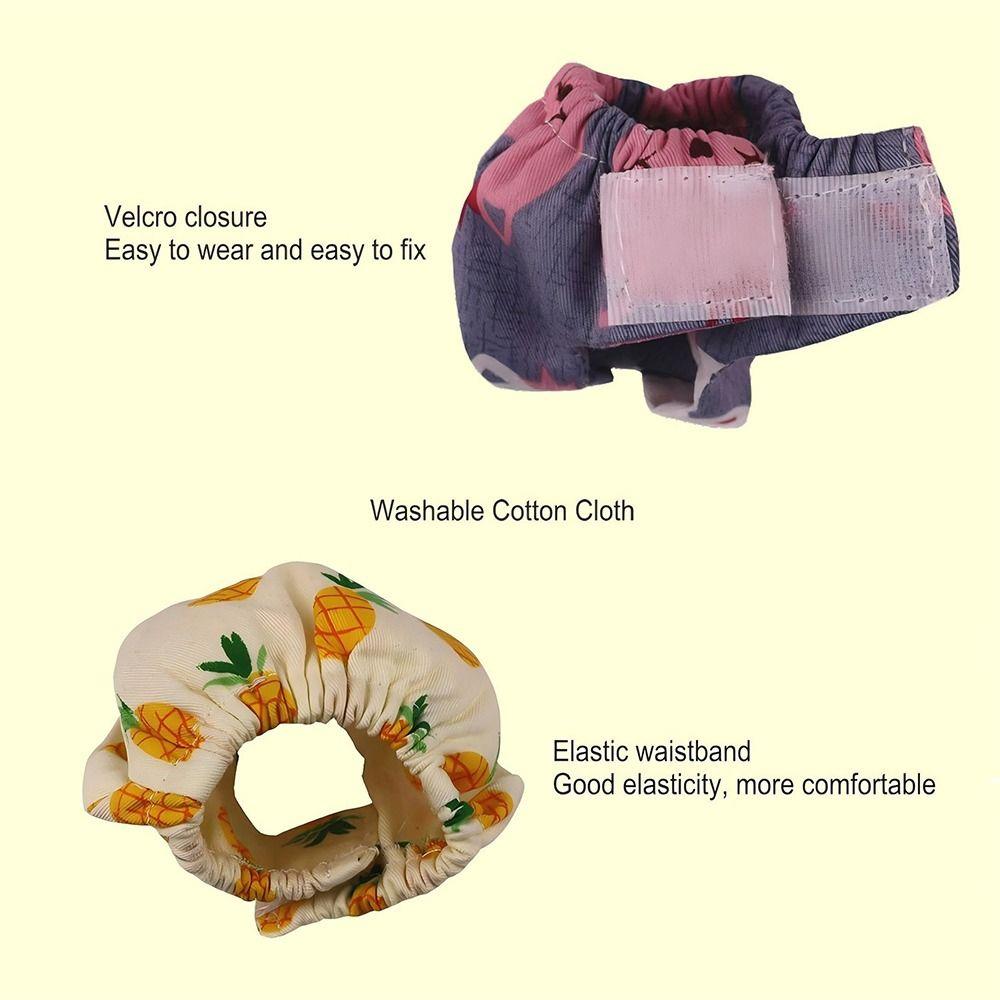 Absorbent Squirrel Diapers Flexible Closure Squirrel Underwear  For Guinea Pigs, Squirrels