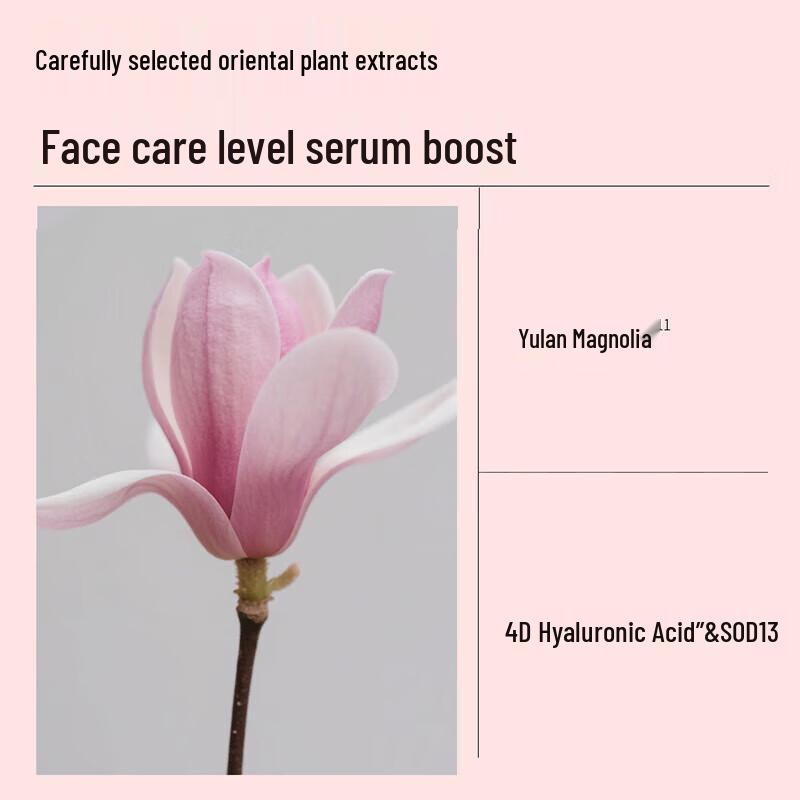 Safeguard Pure White & Aloe Hand Wash Twin Pack with Hand Cream