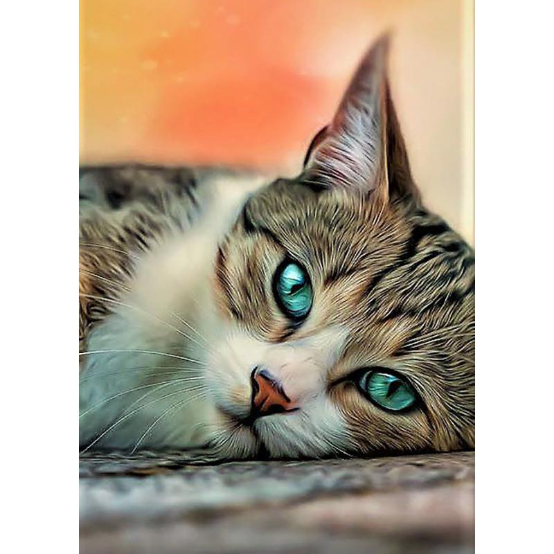 DIY 5D алмазная живопись животные вышивка кошка наборы крестиков полная круглая дрель мозаика со стразами настенная живопись подарок домашний декор