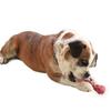 Реалистичная кость для собак Резиновая кость для собак Игрушка-грызун для собак Игрушка для щенков при прорезывании зубов Игрушка для чистки зубов для агрессивных грызунов