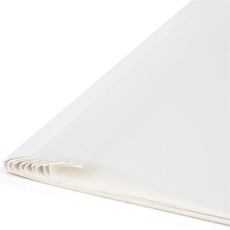 Deli A4 Hot Melt Binding Covers (10-Pack) CN plug (adapter included)