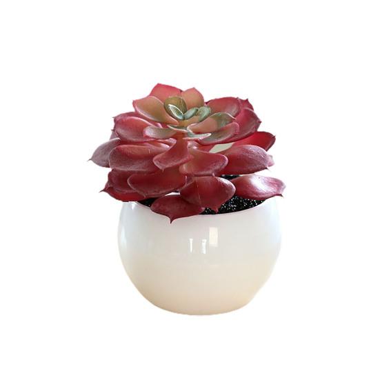 Отличный искусственный суккулент, не требующий полива, яркий декоративный