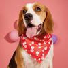 Салфетки для слюны питомца Регулируемый ремешок Изысканный узор в виде сердечек Ткань для чистки питомца Вечеринка в честь Дня святого Валентина питомца День рождения