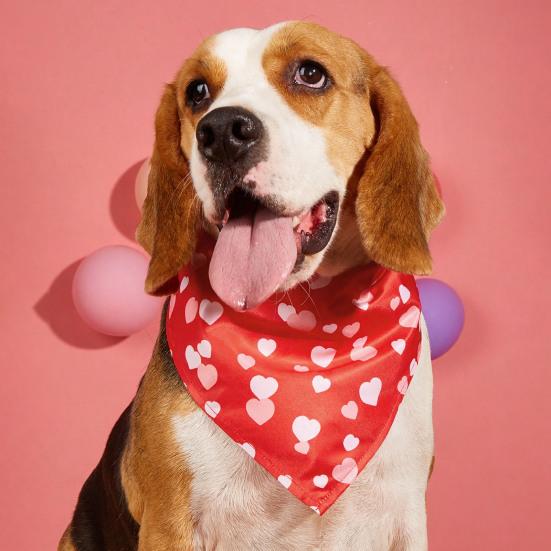 Салфетки для слюны питомца Регулируемый ремешок Изысканный узор в виде сердечек Ткань для чистки питомца Вечеринка в честь Дня святого Валентина питомца День рождения