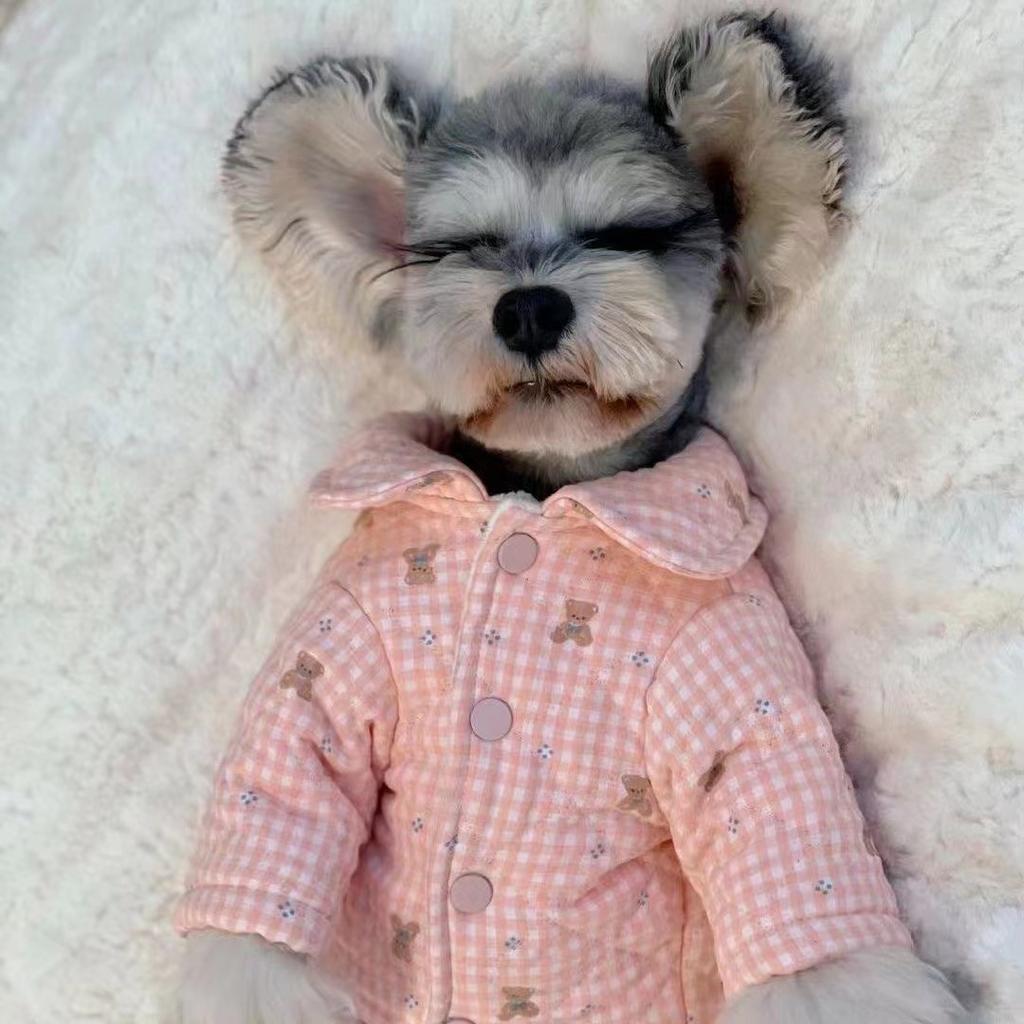 Пальто из хлопка для четвероногих питомцев, утолщенное, для померанского шпица, пуделя, маленького щенка, йоркширского шнауцера, плюшевого мишку, одежда