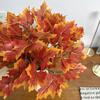 Искусственные растения 7 веток листьев красного клена, отдельные пучки зеленых растений, аксессуары для украшения стены, DIY цветочная композиция