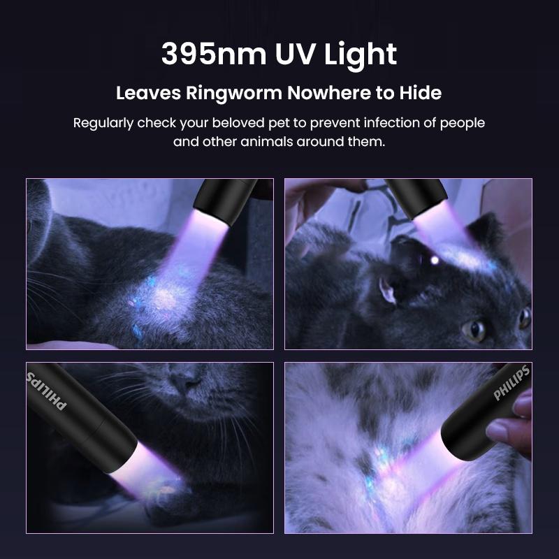 Philips SFL2091 Wood's UV Flashlight 395nm UV Laser Cat Teaser Type-C Rechargeable 5H Runtime 1m Drop Water Resistant