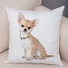 Cute Pet Animal Pillowcase Decorative Cute Puppy Chihuahua Pillowcase Soft Plush Cushion Cover for Car Sofa Home 45x45cm