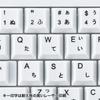 SANWA SUPPLY USB Keyboard (White) SKB-L1UN