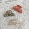 Hair Clip Girls Korean Style Headwear Female Hair Accessories Plastic Hair Claw Acetate Hair Clip