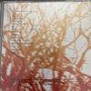 [Б/У] CD Сэйко Мацуда Акина Накамори Юми Мацутоя Маки Огуро Сидзука Кудо Кодзи Тамаки Сёва Хэйсэй