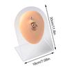 Soft Silicone Flexible Model Body Part Displays Set