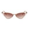 Classic Square Sunglasses Women Men Minimalist Fashion Female Male Retro Casual