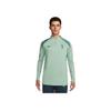 Футболка мужская Dri-Fit Tottenham Hotspur Series с логотипом, модная, с длинным рукавом, эмалево-зеленая, двухцветная, выцветшая, ель FQ2627-380