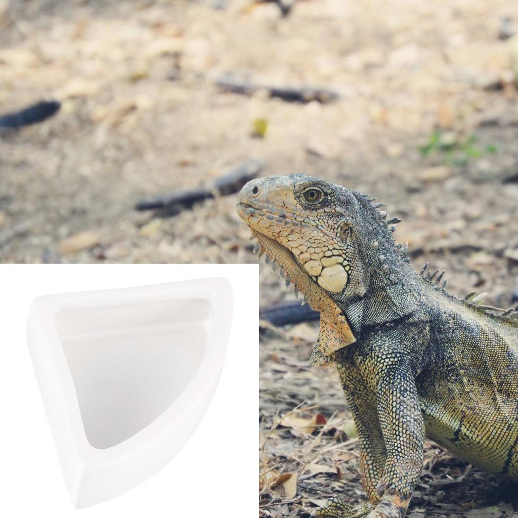 Kisangel Reptile Feeding 2 Также Может Использоваться В Качестве Поилки Для Разведения Амфибий Керамическая Миска Для Рептилий Миска, Части, Фонтан, Чехол, Аксессуары,