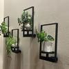 Metal Frame Plant Holder Wall Mounted Iron Frame Plant Holder Potted Plants Frame