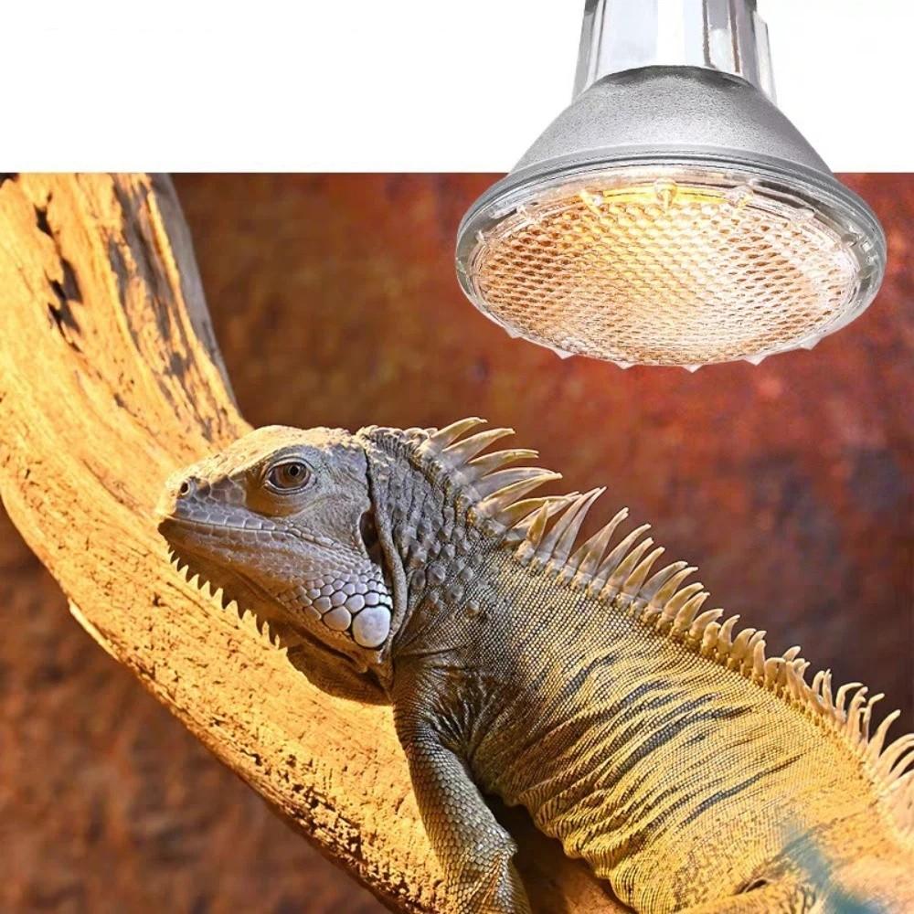 Full Spectrum Pet Heating Bulb Dimmable Turtle Basking Lamp Durable Heat Lamp  Lizards Habitat