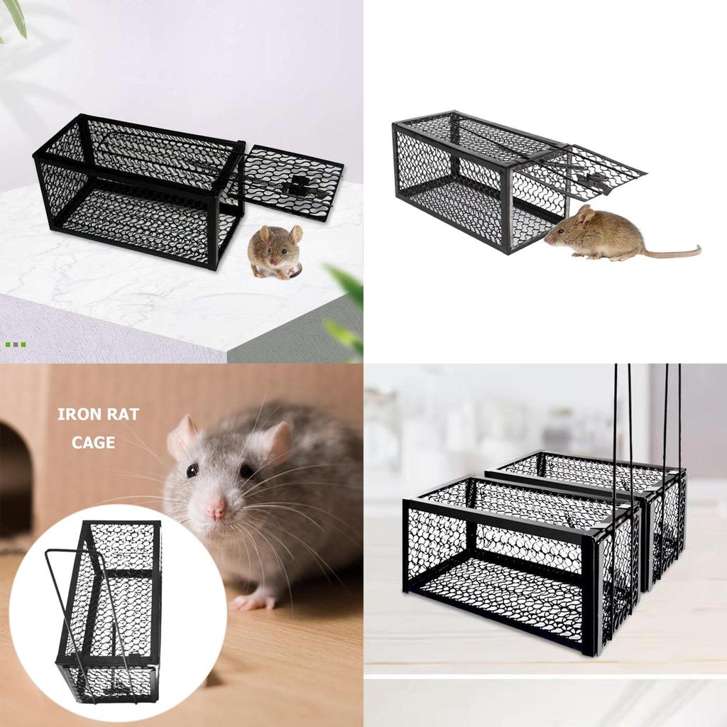 Hassle-free Iron Mouse Trap Control Catcher Easy To Set Up And Effective Pest Control