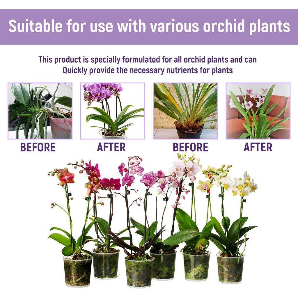 50ml Orchid Flower Fertilizer Liquid Increase Germination Rate Improve Growth for Beginner Starter Gardening Lover Gift