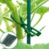50pcs Adjustable Plastic Plant Ties Reusable Garden Tree Climbing Bracket Plant Vine Tomato Stem Clamp Ties