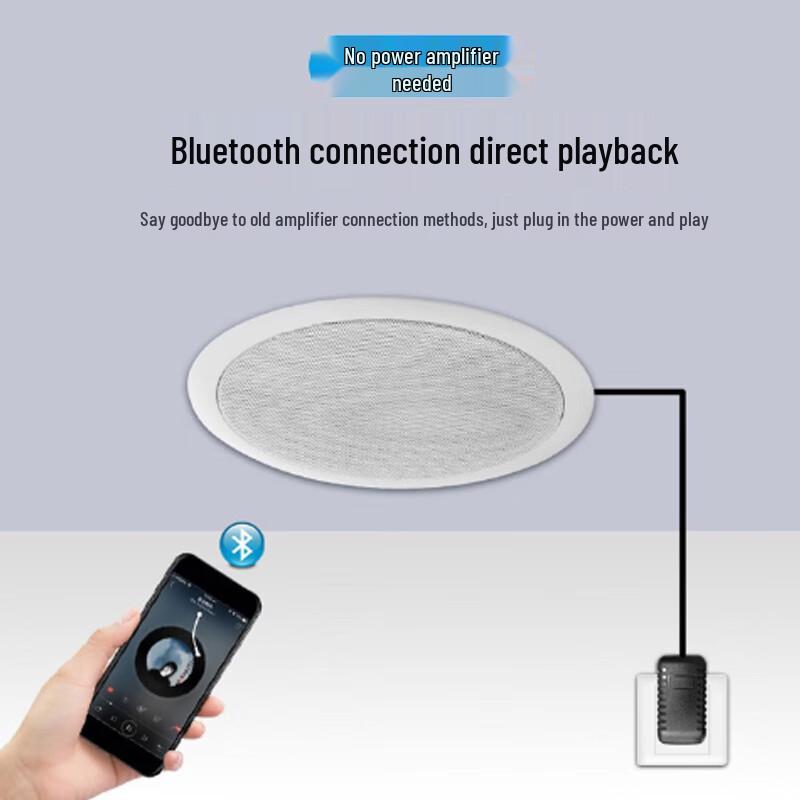 KASOOY Wireless Bluetooth Ceiling Speaker System