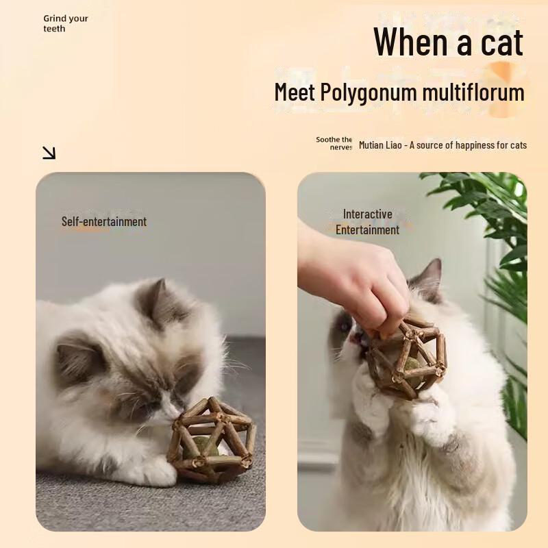 Catnip Ball & Teething Stick: Bite-Resistant, Self-Entertainment Toy for Kittens.