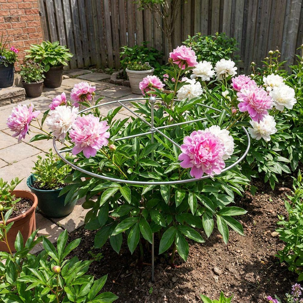 Weather-Resistant Metal Plant Support Ring Peony Flower Support Stake Plant Growth Fixing