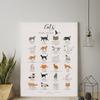 Cats In Film TV and Book Print Canvas Painting Infographic Cat Breed Poster Animal Friend Wall Art Picture for Modern Home Decor