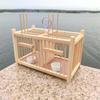 Extra Large Bamboo Cricket & Grasshopper Breeding Box