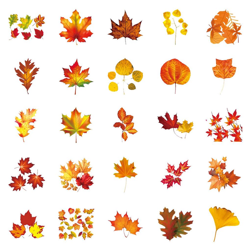 50 шт. Наклейки с желтыми листьями, наклейки на День благодарения, осенние листья, растения, мультяшные наклейки, креативные водонепроницаемые декоративные наклейки для ноутбука и компьютера