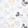 Aden anais Микки Минни Муслиновый набор Disney с петлей + и полотенца, 3, 30x30 см, Дизайн, Хлопок, (WCADABDAWCC30002DIJ)