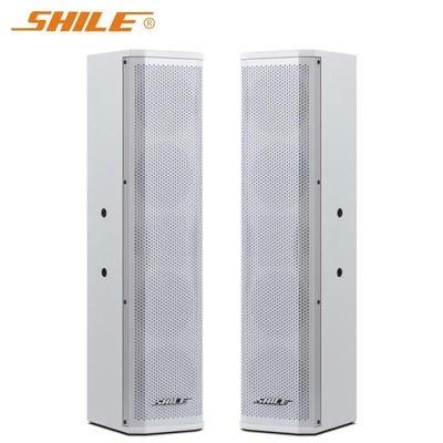 SHILE BX-406 Пассивные настенные конференц-динамики Штепсель CN (адаптер в комплекте)