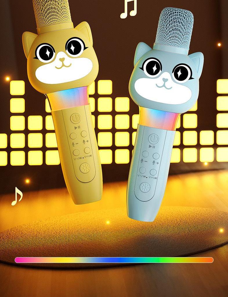 Wireless Kids' Karaoke Microphone & Speaker: Echo, Singing, & Early Education Toy for Little Girls