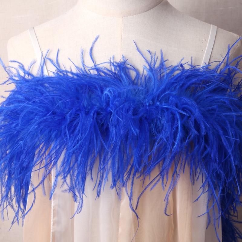 5-Layer Color Encrypted Bold Ostrich Feather Strip Latin Dance Dress Fashion Diy Handmade Clothing Accessories